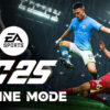 EA Sports FC 25 - Offline Mode