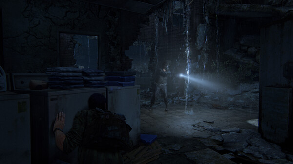 The Last of Us Part 1 10