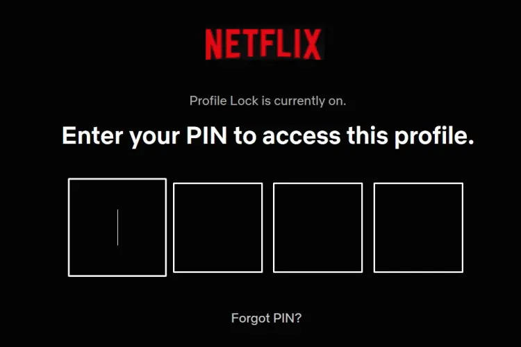 Cách Share Tài Khoản Netflix Cho Người Thân Chi Tiết quan ly chia se tai khoan KAMIKEY quan-ly-chia-se-tai-khoan-netflix