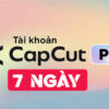 tai-khoan-capcut-pro-7-ngay