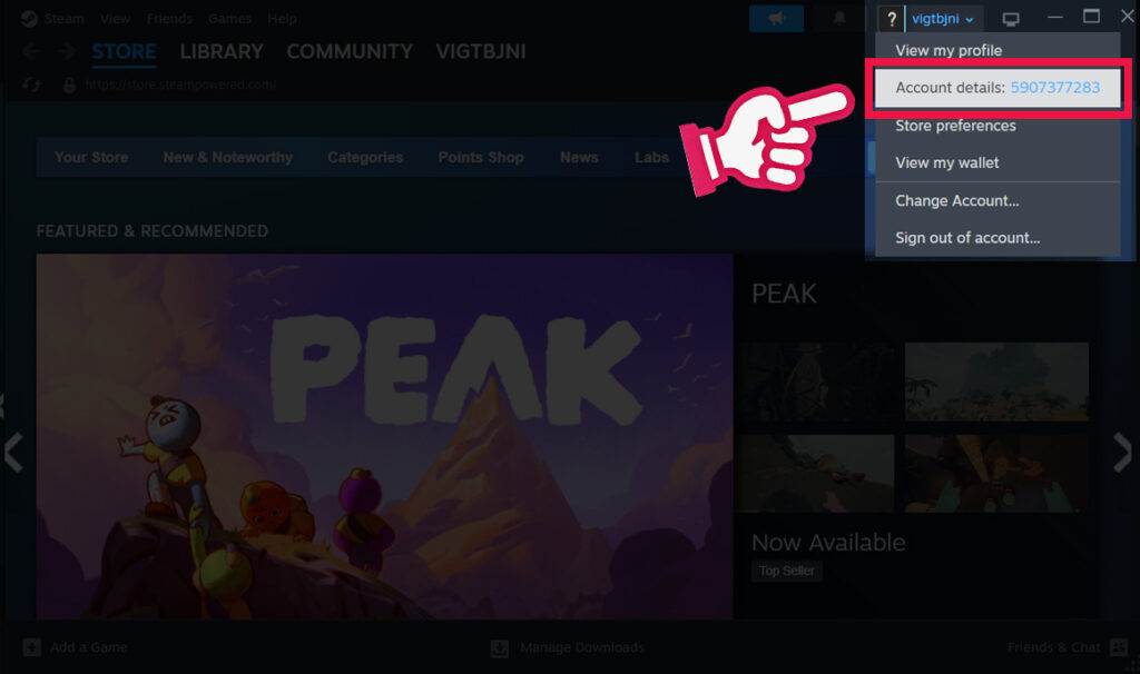 Hướng dẫn sử dụng Tài Khoản Steam + Mail của KAMIKEY buoc 1 KAMIKEY thay doi email tai khoan steam
