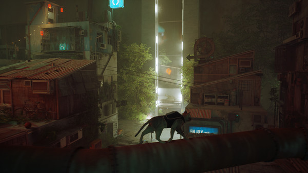 Stray 8