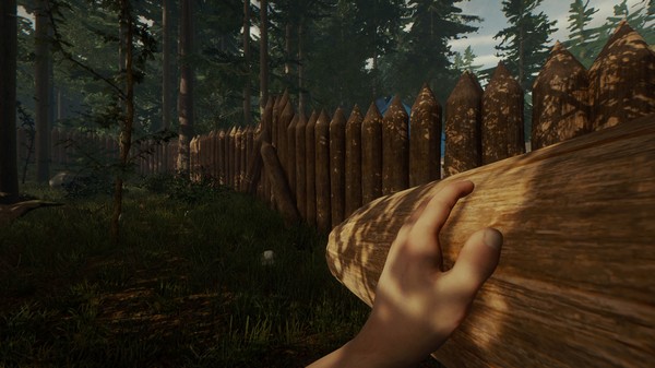 The Forest - Tài Khoản Steam Online Mới + Mail Gốc The Forest 3 KAMIKEY The Forest 3