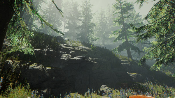 The Forest - Tài Khoản Steam Online Mới + Mail Gốc The Forest 5 KAMIKEY The Forest 5