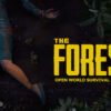the forest