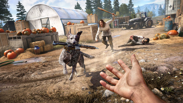 Far Cry 5 - Tài Khoản Steam Online Mới + Mail Gốc Far Cry 5 14 KAMIKEY Far Cry 5 14