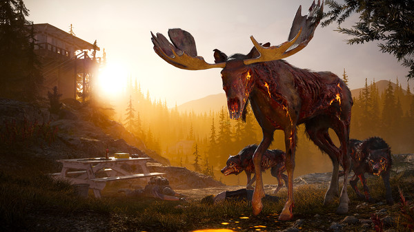 Far Cry 5 - Tài Khoản Steam Online Mới + Mail Gốc Far Cry 5 2 KAMIKEY Far Cry 5 2