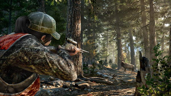 Far Cry 5 - Tài Khoản Steam Online Mới + Mail Gốc Far Cry 5 8 KAMIKEY Far Cry 5 8