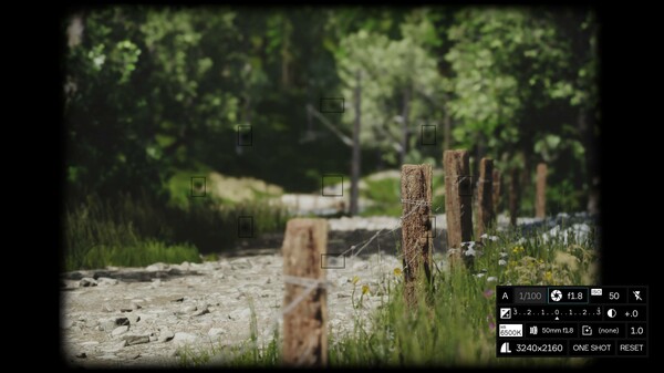 Lushfoil Photography Sim 12