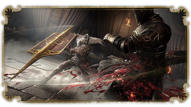 ELDEN RING Shadow of the Erdtree 2