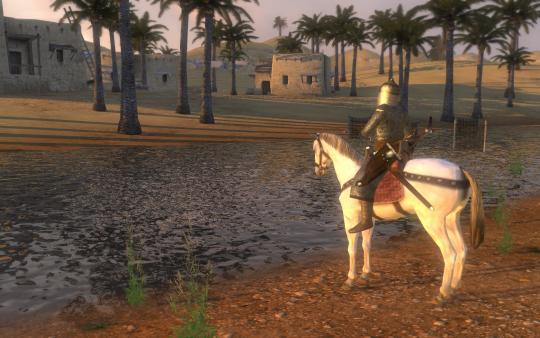 Mount Blade Warband 3