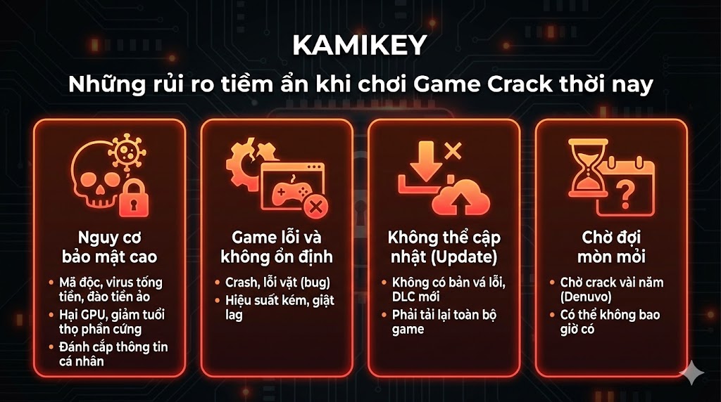 rui ro khi choi game crack