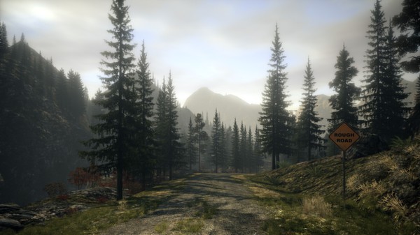 Alan Wake Collector's Edition - Steam Offline - Ảnh 4