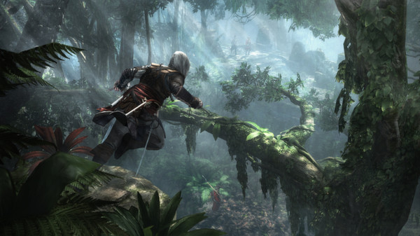 Assassin’s Creed IV Black Flag (4)
