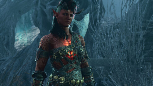 Baldur's Gate 3 (5)