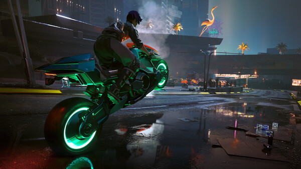 Cyberpunk 2077 (4)