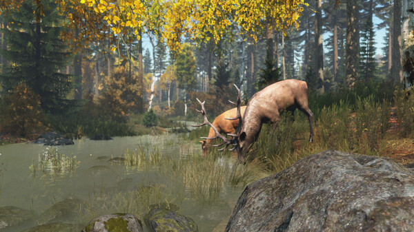DayZ - Tài Khoản Steam Mới + Mail - Ảnh 5