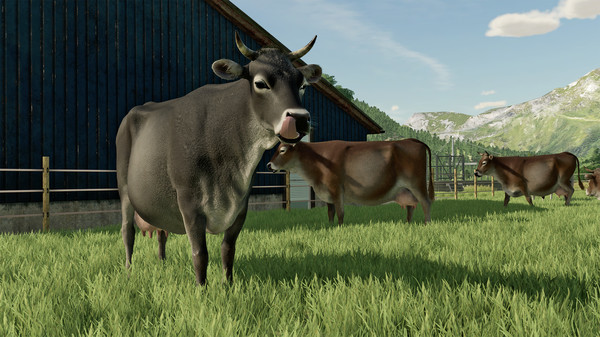 Farming Simulator 22 Premium Edition - Steam Offline - Ảnh 13