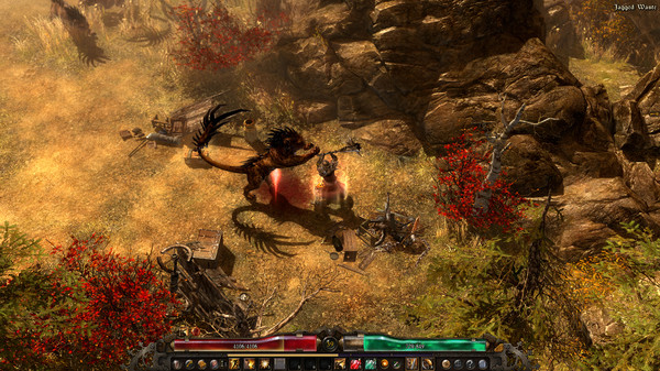 Grim Dawn (5)