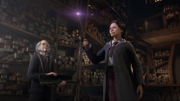 Hogwarts Legacy Digital Deluxe Edition + Full DLC + Việt Hóa - Steam Offline - Ảnh 5