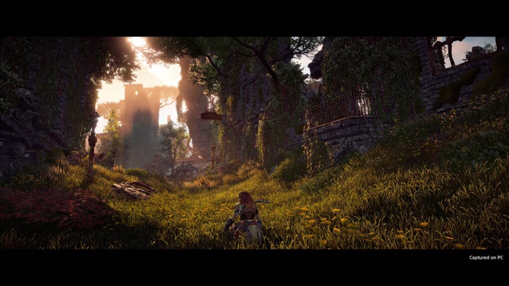 Horizon Zero Dawn Complete Edition - Steam Offline - Ảnh 6