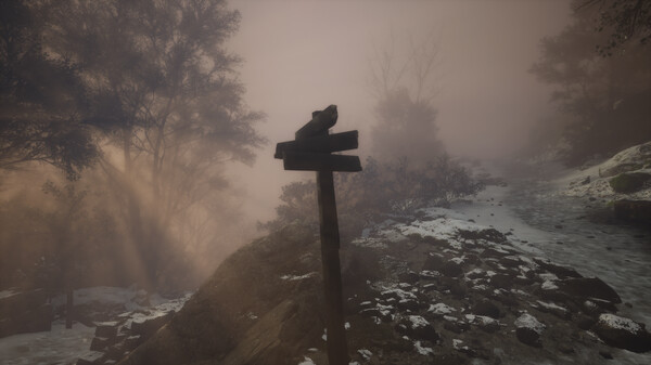 Lushfoil Photography Sim + DLC - Steam Offline - Ảnh 8