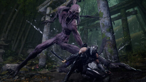 NINJA GAIDEN 4 Deluxe Edition - Steam Offline - Ảnh 8
