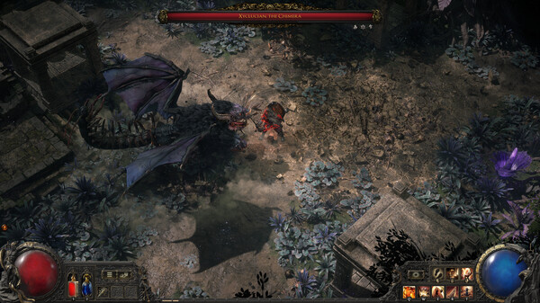 Path of Exile 2 - Tài Khoản Steam Online Mới + Mail - Ảnh 2