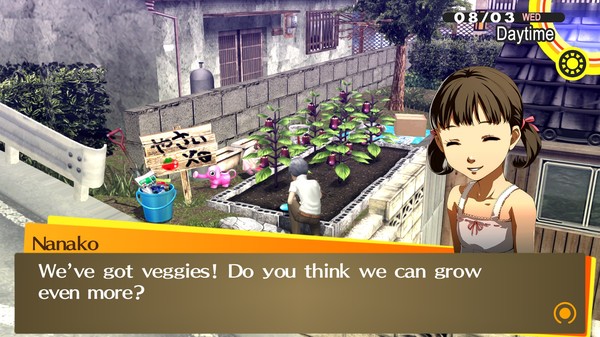 Persona 4 Golden: Digital Deluxe Edition - Steam Offline - Ảnh 4