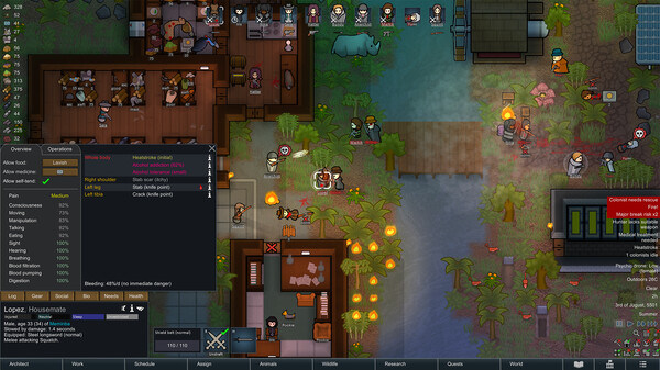 RimWorld + Full DLC - Steam Offline - Ảnh 2
