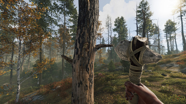 Rust - Tài Khoản Steam Online Mới + Mail - Ảnh 9