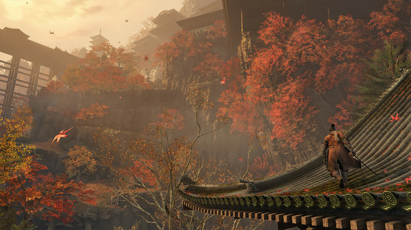 Sekiro Shadows Die Twice (3)