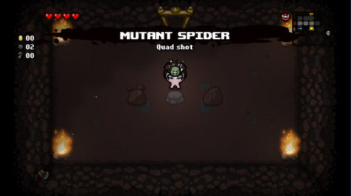 The Binding of Isaac: Rebirth + Full DLC - Steam Offline - Ảnh 4