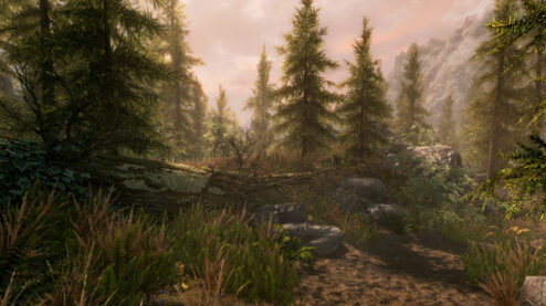 The Elder Scrolls V: Skyrim Anniversary Edition - Steam Offline - Ảnh 7