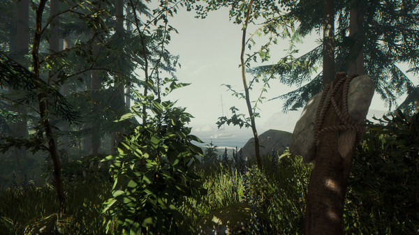 The Forest - Tài Khoản Steam Online Mới + Mail - Ảnh 4