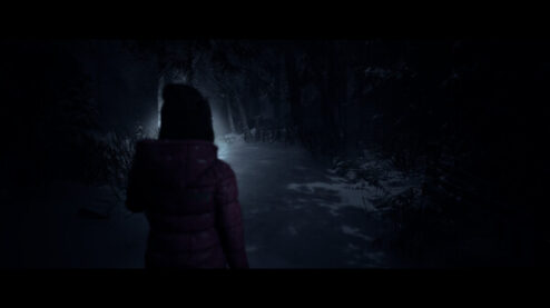Until Dawn - Steam Key Bản Quyền Chính Hãng - Ảnh 10