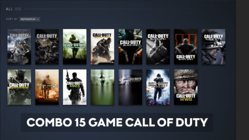 Combo 15 Game Call of Duty - Steam Offline