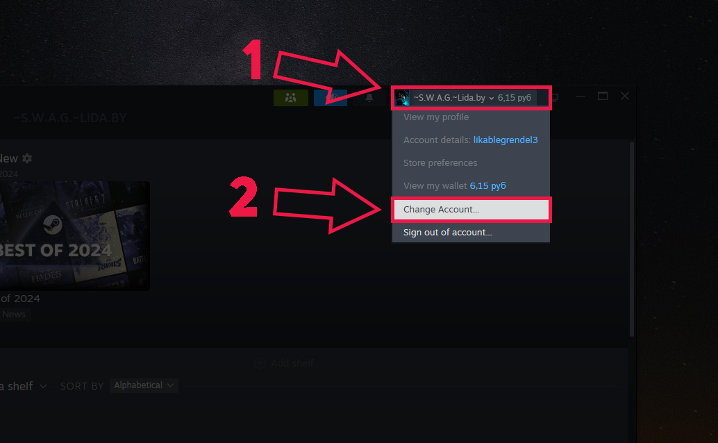 choi game steam offline mode