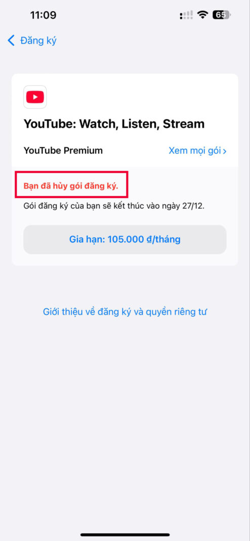 huy youtube premium tren iphone