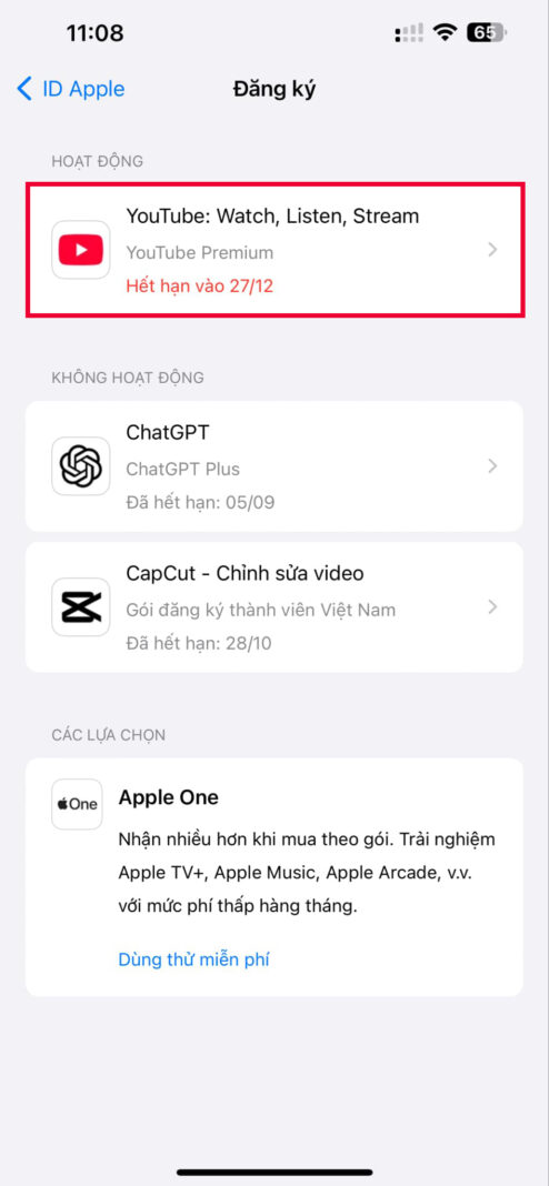 huy youtube premium tren iphone