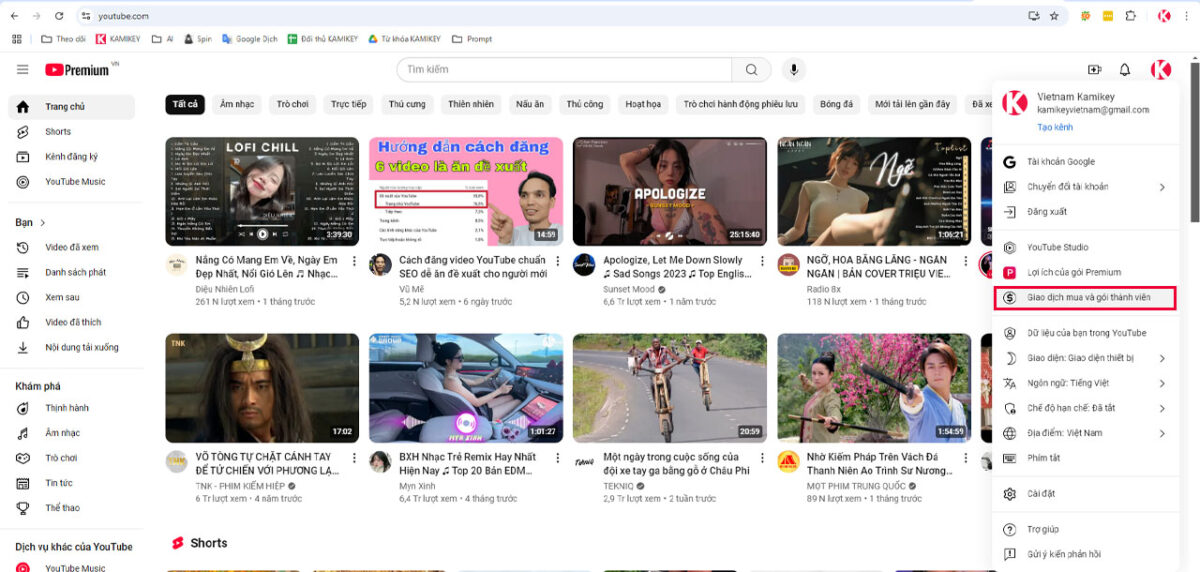 huy youtube premium tren may tinh