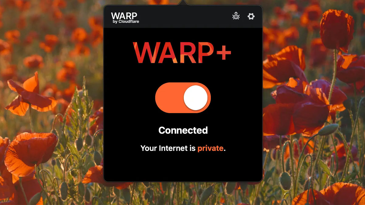 warp-1-1-1-1