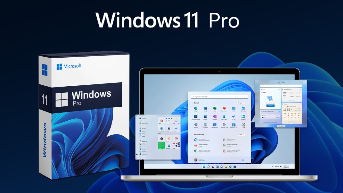 win 11 Pro bản quyền