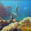Subnautica 2 - Steam Offline